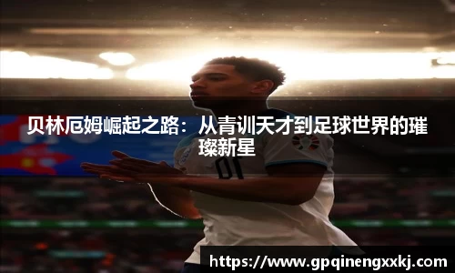 熊猫体育