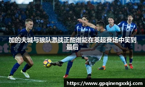 加的夫城与狼队激战正酣谁能在英超赛场中笑到最后